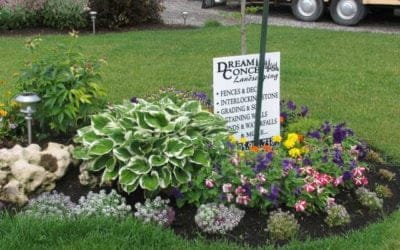 Questions to Ask Before Hiring a Landscaping Company in Oakville