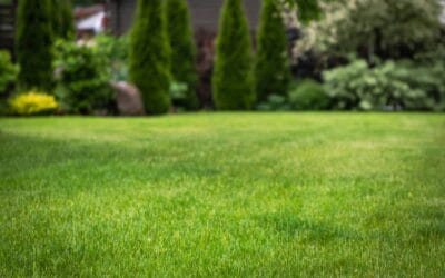 Best Lawn Care & Mowing Services in Hamilton Ontario 2026