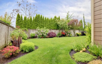 Best Landscaping Company Burlington: What to Compare First