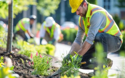 How to Choose a Reliable Landscaping Contractor in Hamilton