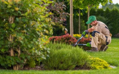 Best Landscaping Services Hamilton, Stoney Creek & Ancaster