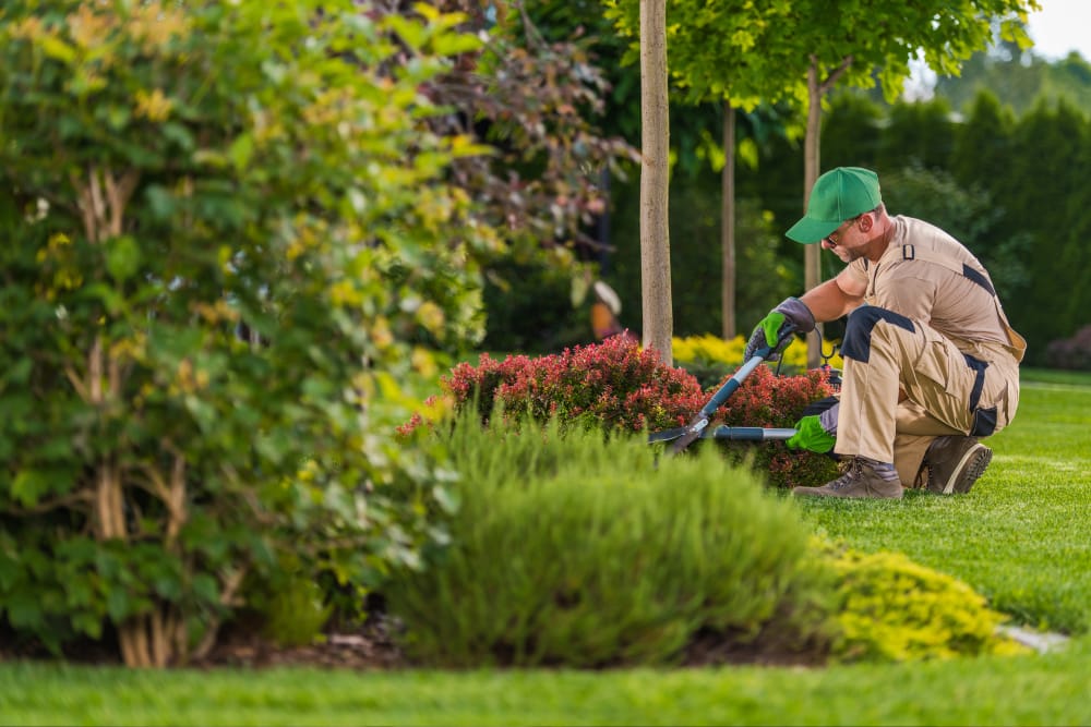 Best Landscaping Services Hamilton, Stoney Creek & Ancaster