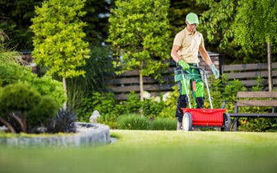 Top Lawn Care Services for Regular Maintenance in Hamilton