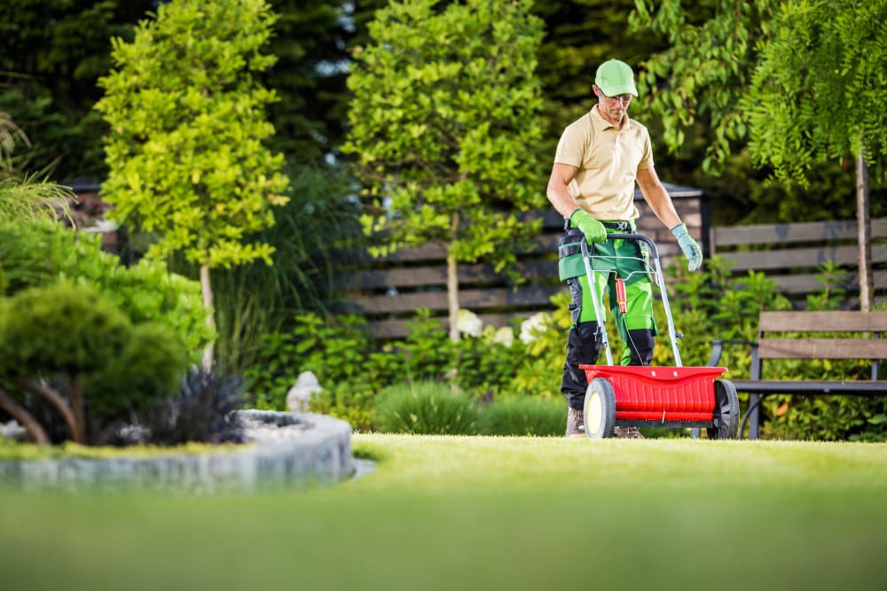Top Lawn Care Services for Regular Maintenance in Hamilton
