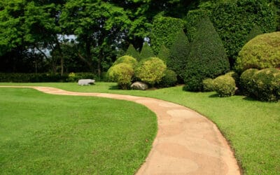 Hamilton Lawn & Snow Services: Year-Round Providers Guide