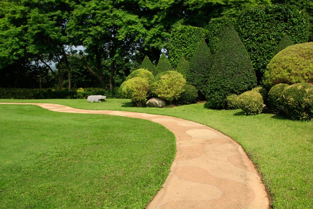 Hamilton Lawn & Snow Services: Year-Round Providers Guide
