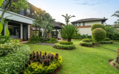 Best Lawn Care Services in Hamilton – Local Mowing Experts