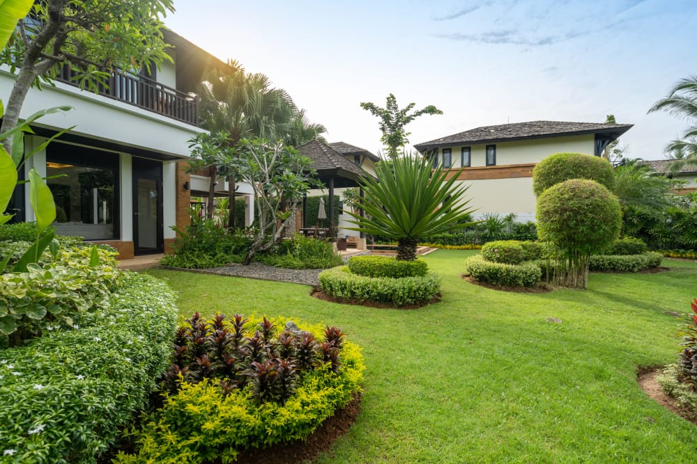 Best Lawn Care Services in Hamilton – Local Mowing Experts
