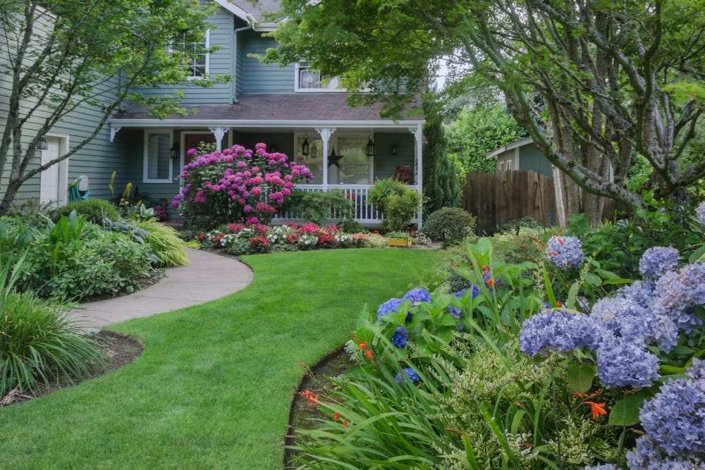 Residential landscaping design with colorful flower garden beds and concrete walkway in a Hamilton area property.